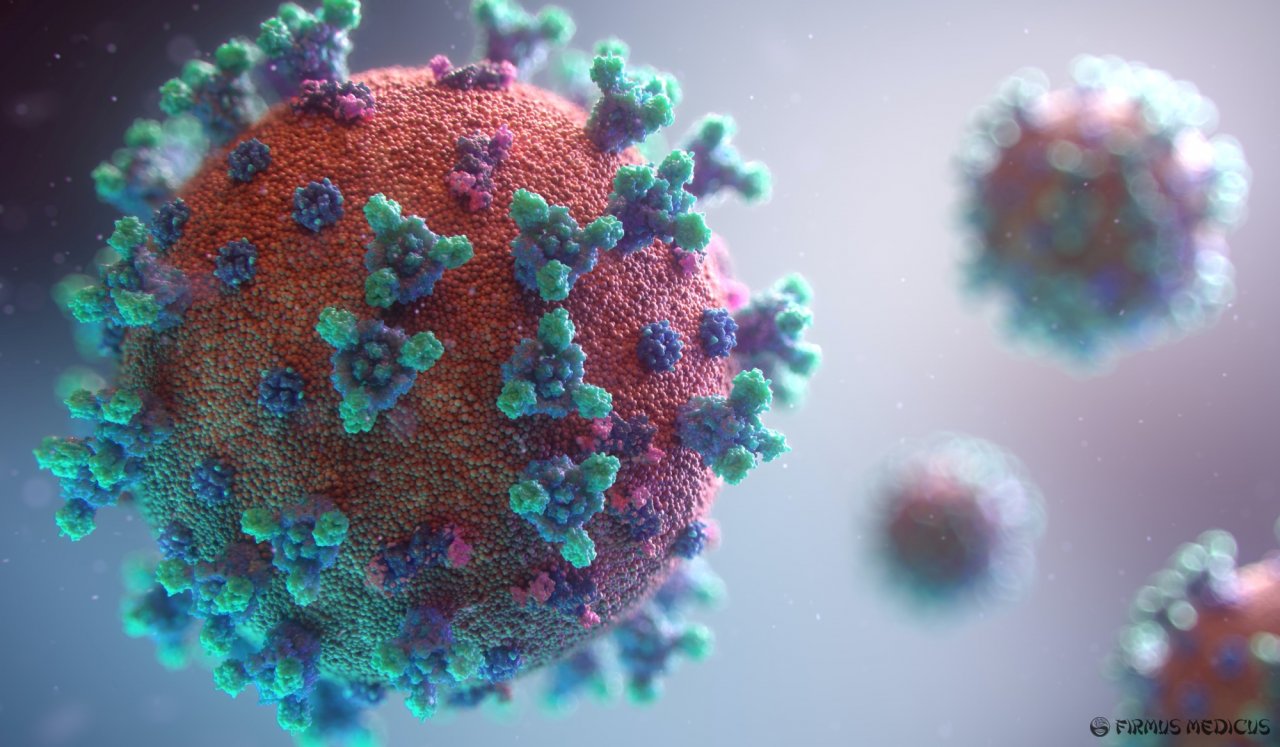 Imunitetas koronavirusui