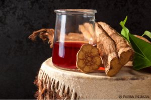 Ties realybės riba – Ayahuasca