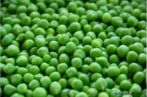 Lektinai: išgalvotas pavojus