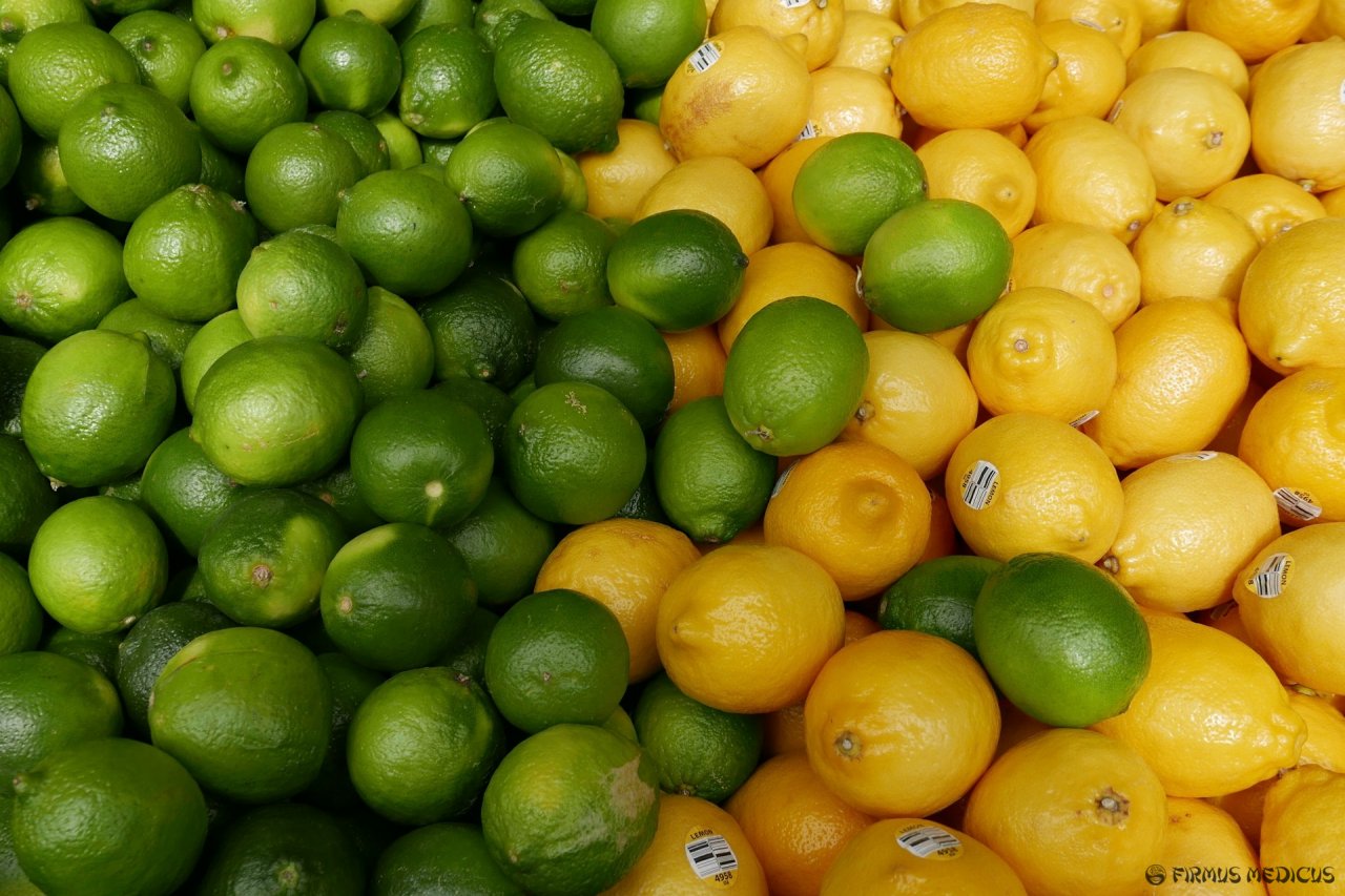 Citrinos